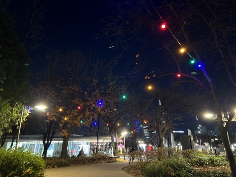 브로콜리 지역정보 관련 사진 26