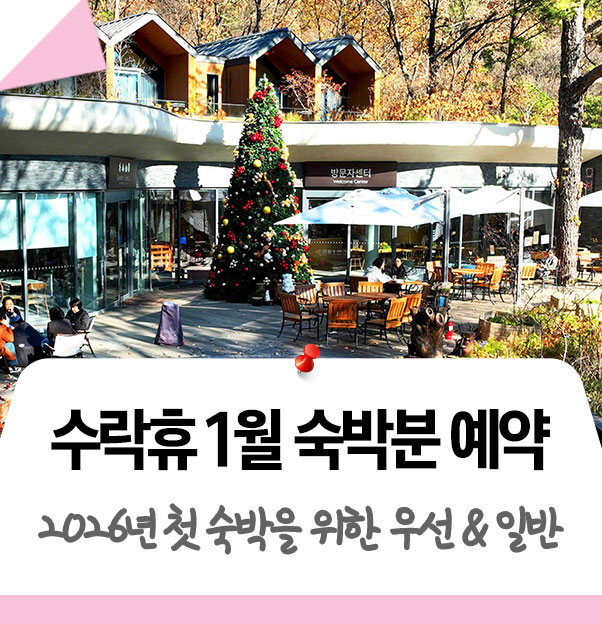 브로콜리 지역정보 관련 사진 6