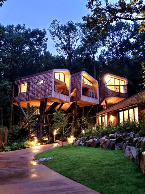 브로콜리 지역정보 관련 사진 2