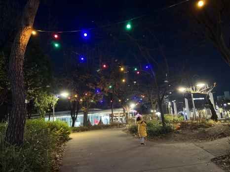 브로콜리 지역정보 관련 사진 25