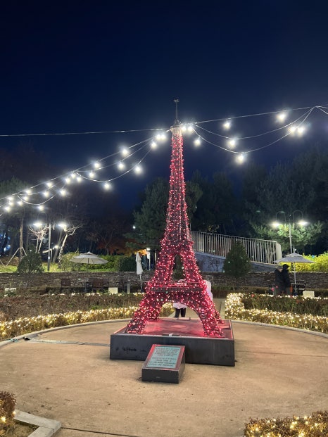 브로콜리 지역정보 관련 사진 21