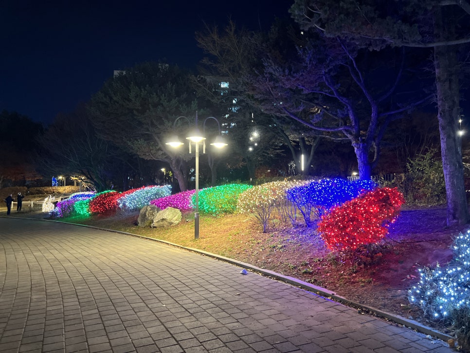 브로콜리 지역정보 관련 사진 22