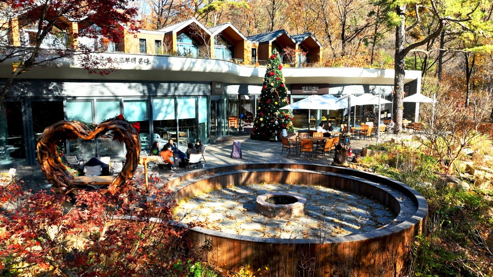 브로콜리 지역정보 관련 사진 1