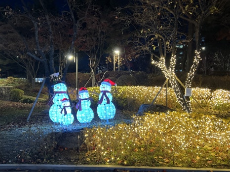 브로콜리 지역정보 관련 사진 9