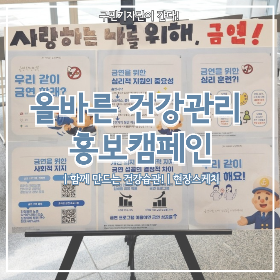 브로콜리 지역정보 관련 사진 12