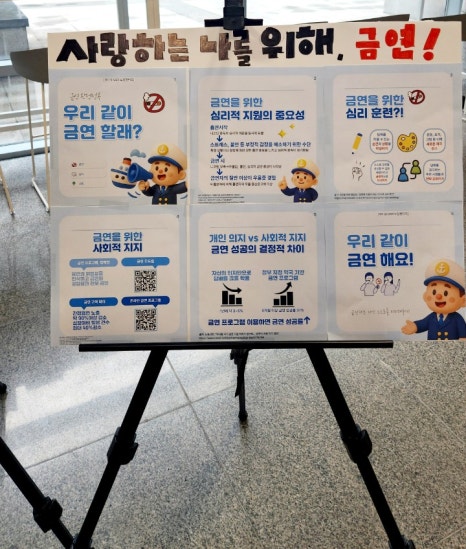 브로콜리 지역정보 관련 사진 3