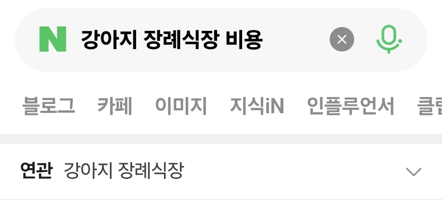 강아지 장례 비용 비교 및 후기 확인 방법