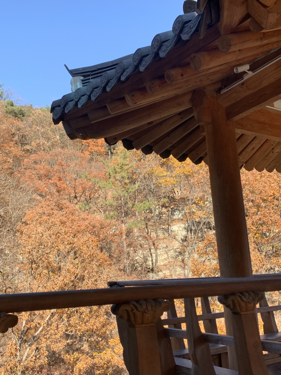 김해 에븐 대청계곡 단풍 보기 좋은 한옥카페 : 네이버 블로그