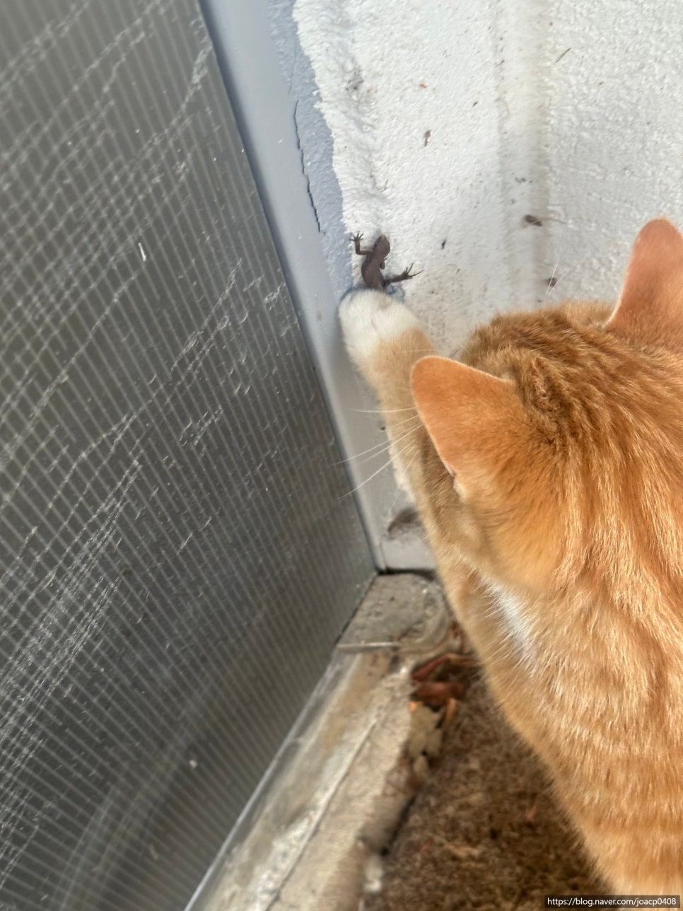 산내음물소리펜션 이미지