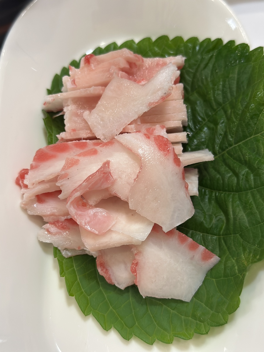 참치바다 사진 6