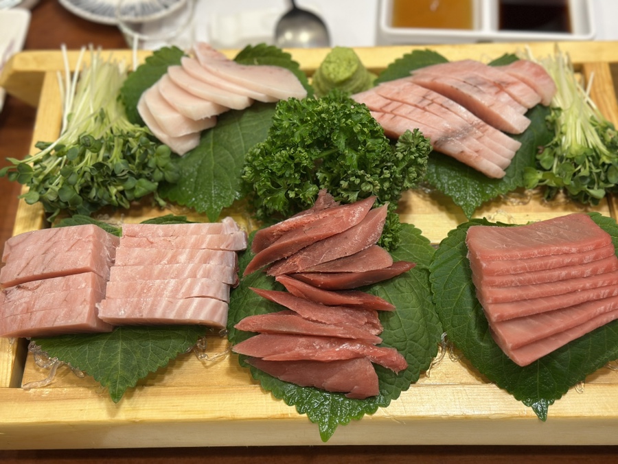 참치바다 사진 8