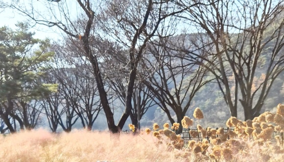 단양무지개오토캠핑장 이미지
