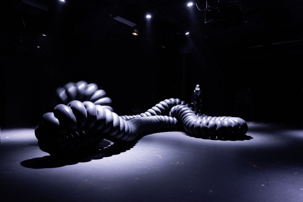 브로콜리 지역정보 관련 사진 4