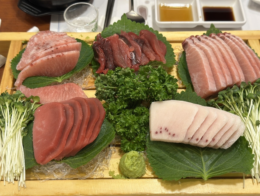 참치바다 사진 7