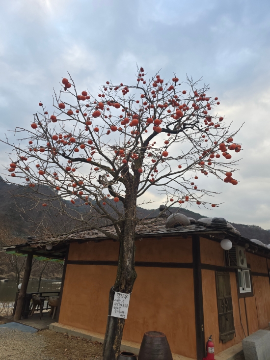 비탈길굽이돌아 이미지