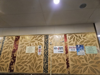파챠이 사진 8