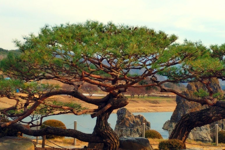 도담삼봉 주차장(단양) 전기차충전소 이미지