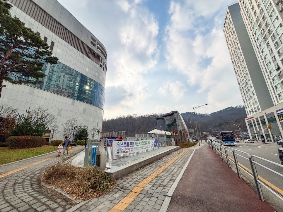 브로콜리 지역정보 관련 사진 2