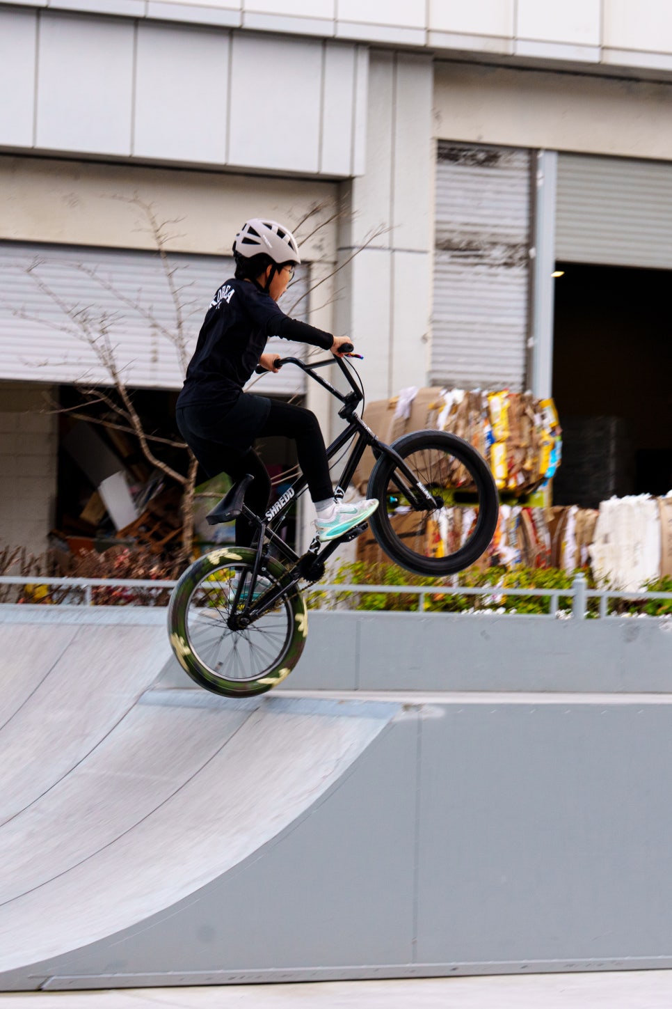 브로콜리 지역정보 관련 사진 8