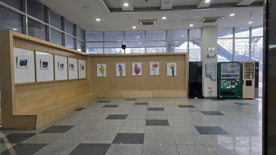 브로콜리 지역정보 관련 사진 3