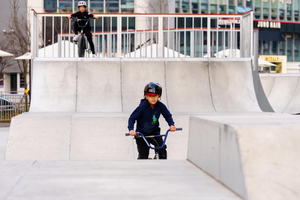 브로콜리 지역정보 관련 사진 5