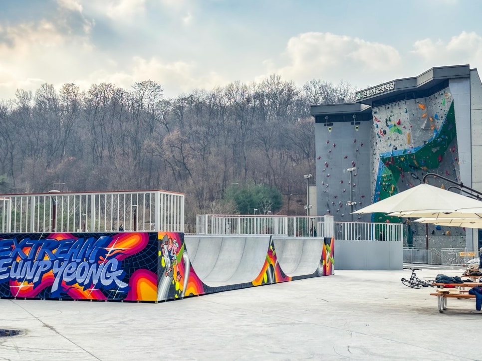 브로콜리 지역정보 관련 사진 3