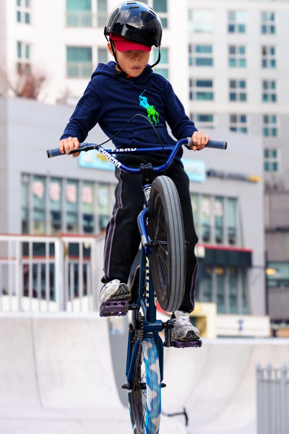 브로콜리 지역정보 관련 사진 6