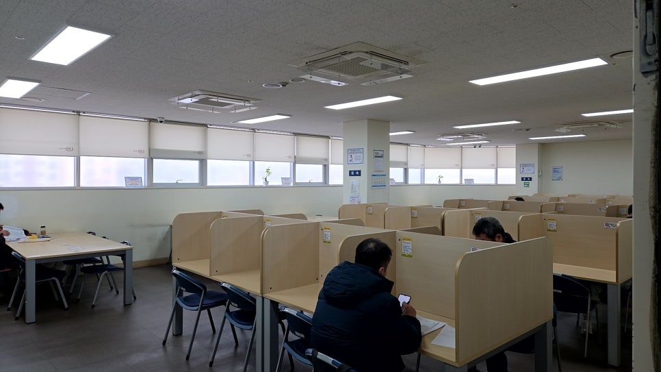 브로콜리 지역정보 관련 사진 5