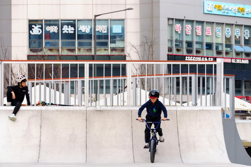 브로콜리 지역정보 관련 사진 4