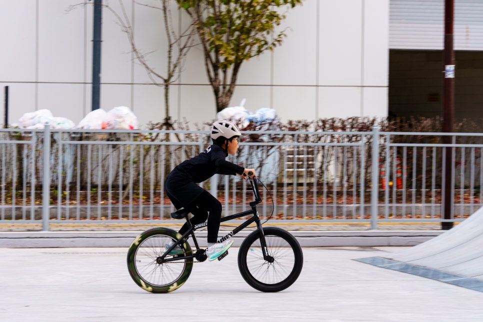 브로콜리 지역정보 관련 사진 7