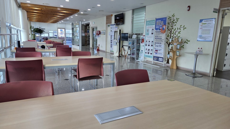 브로콜리 지역정보 관련 사진 7