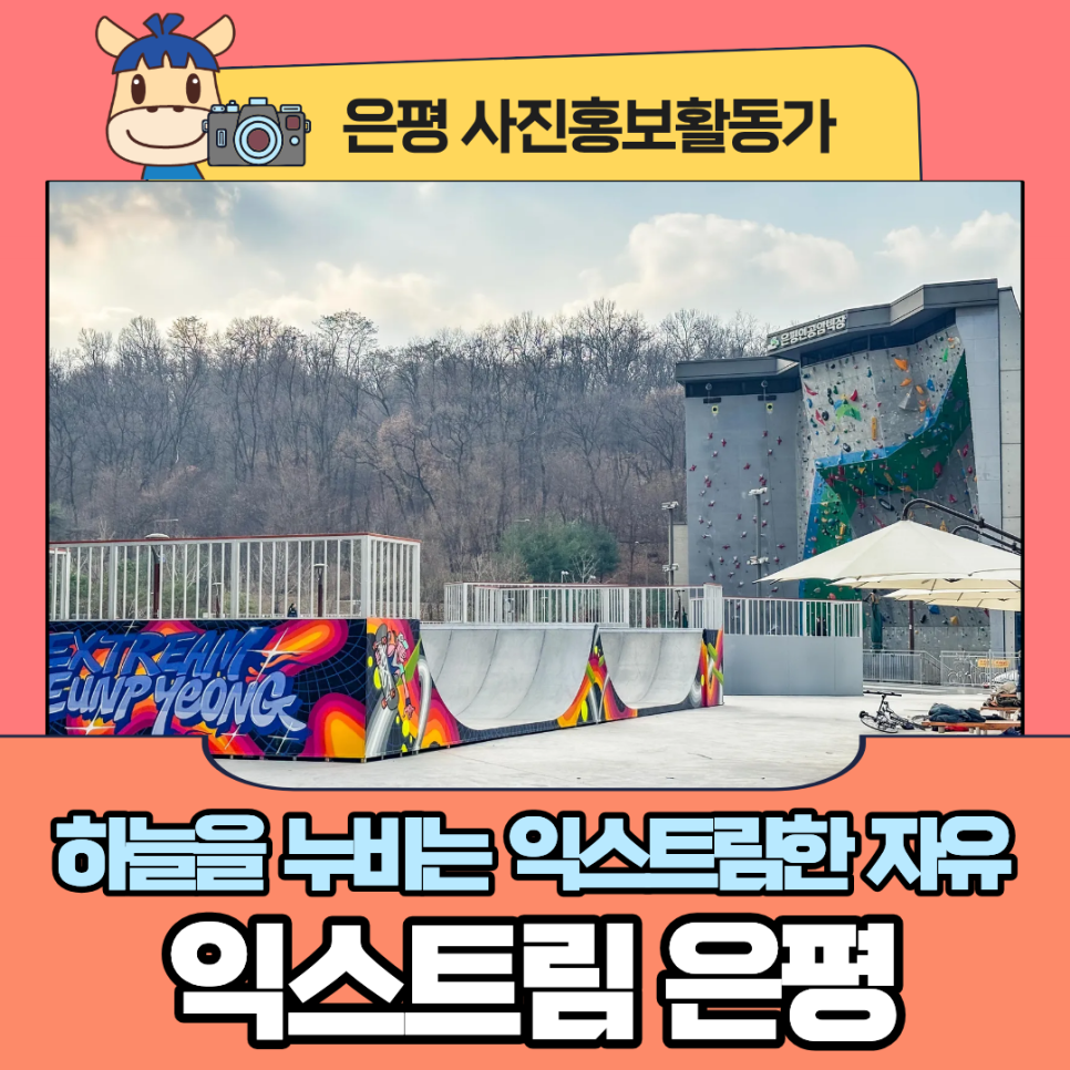 브로콜리 지역정보 관련 사진 1