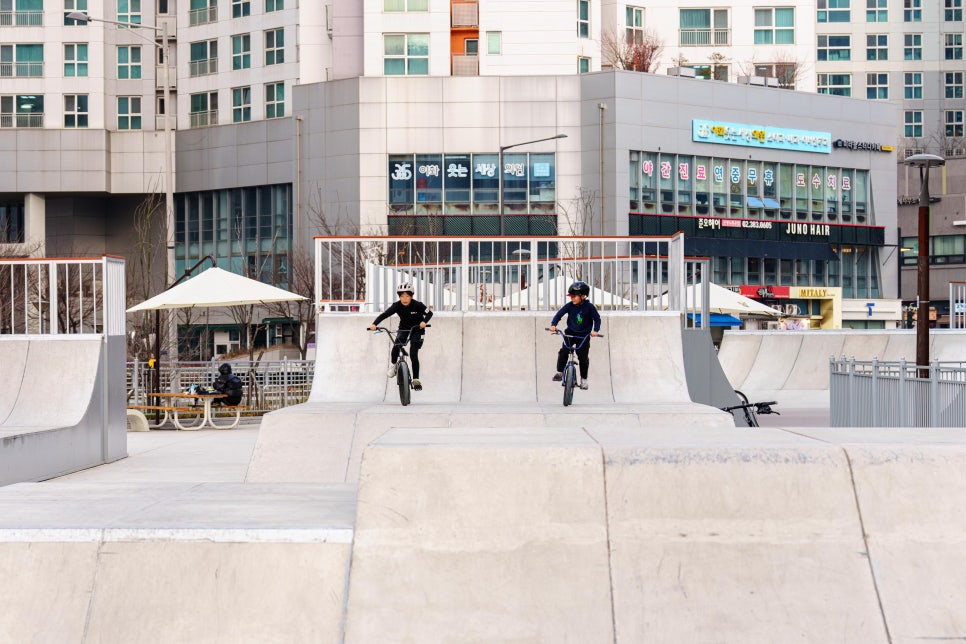 브로콜리 지역정보 관련 사진 10