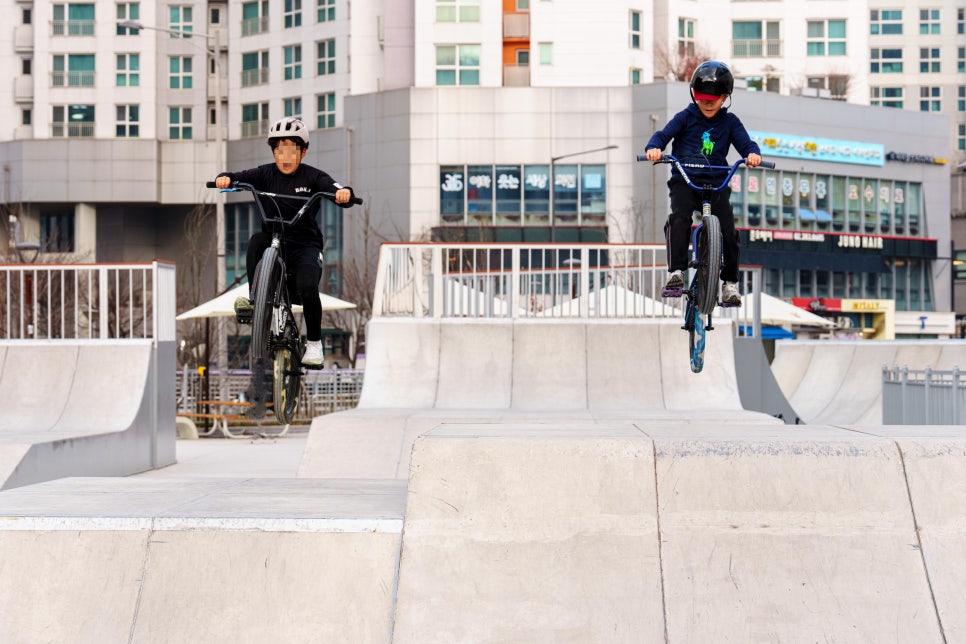 브로콜리 지역정보 관련 사진 11