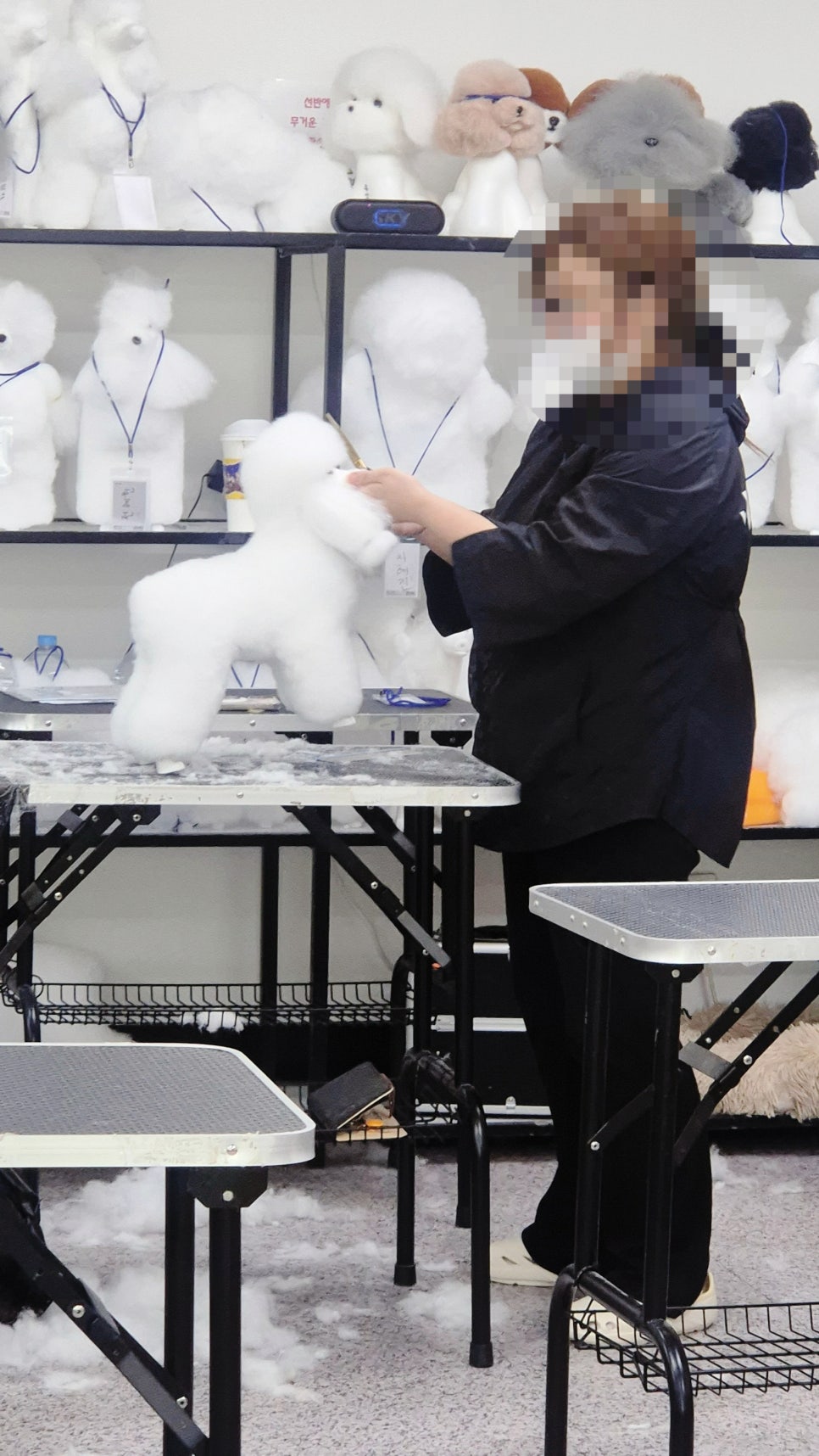 수원 애견미용학원 직장인반 상담 후기 — 사진 5