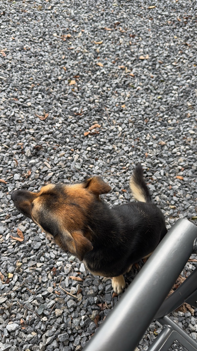 소선암오토캠핑장 이미지