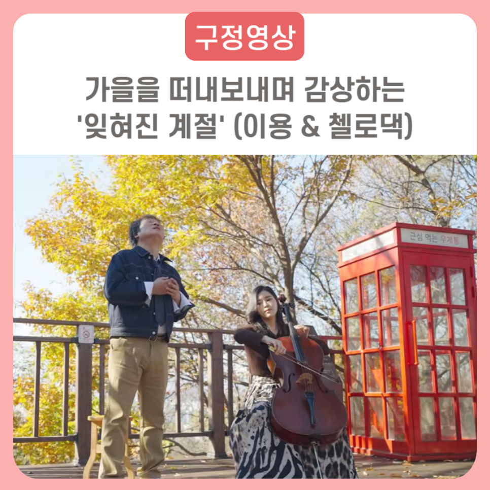 브로콜리 지역정보 관련 사진 1