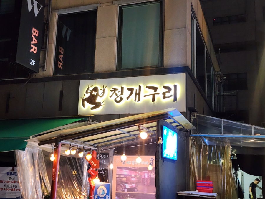 청개구리 사진 8