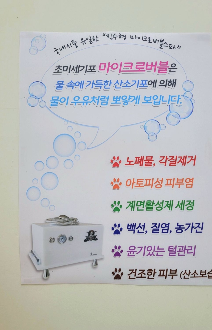 강남 고양이 미용: 맞춤 스파와 2mm 클리핑 전문점 — 사진 3