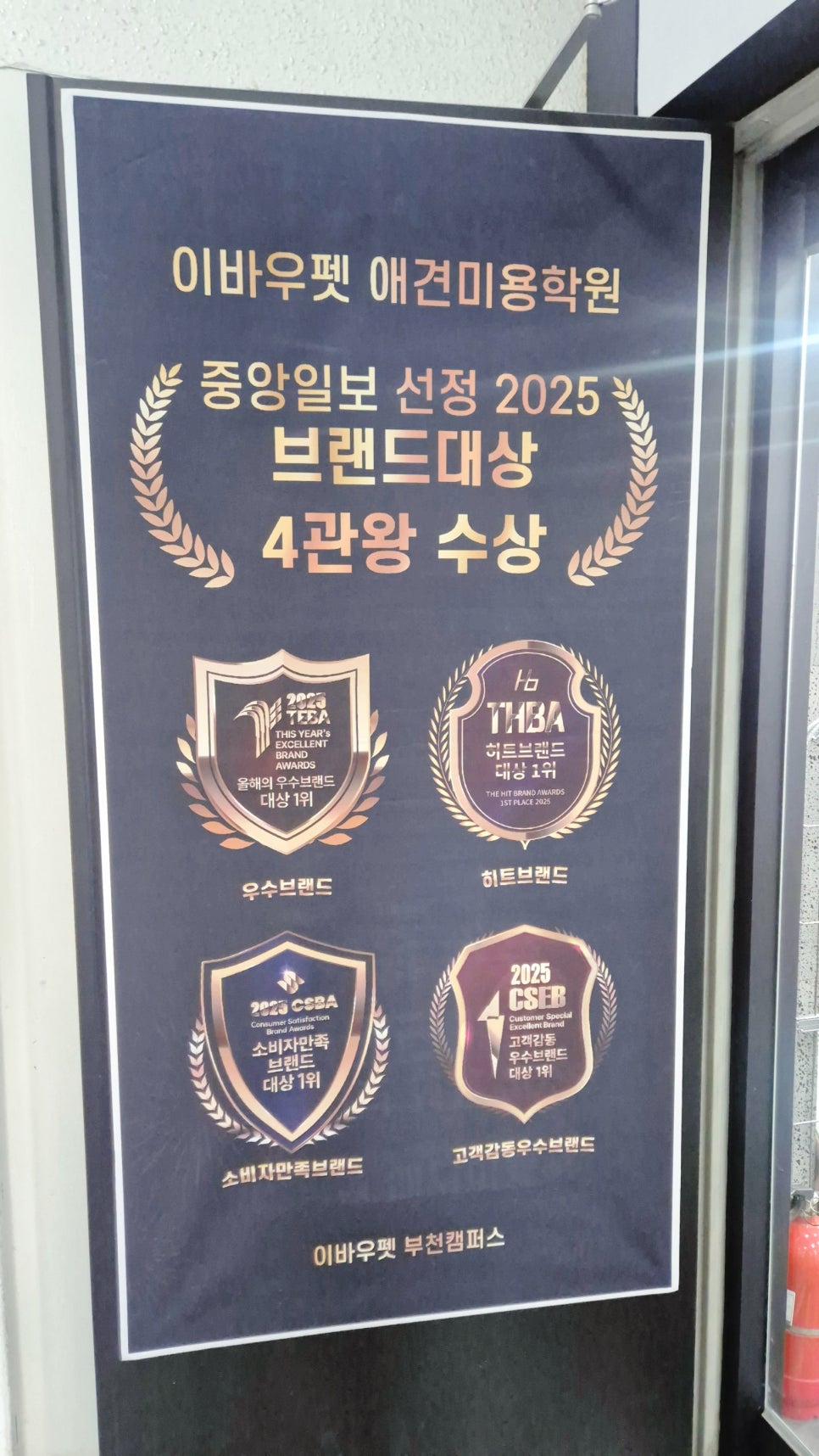 수원 애견미용학원 직장인반 상담 후기 — 사진 12