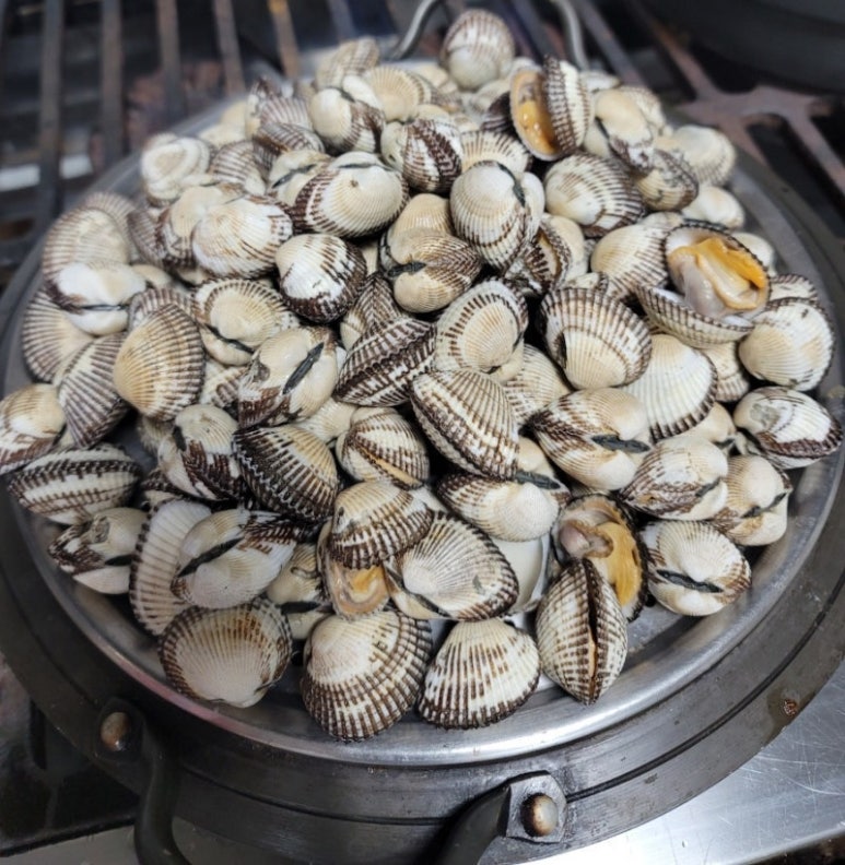 해화 사진 3