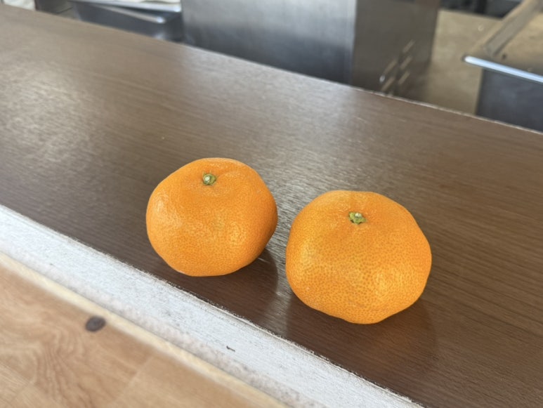 왕붕어분식 사진 6