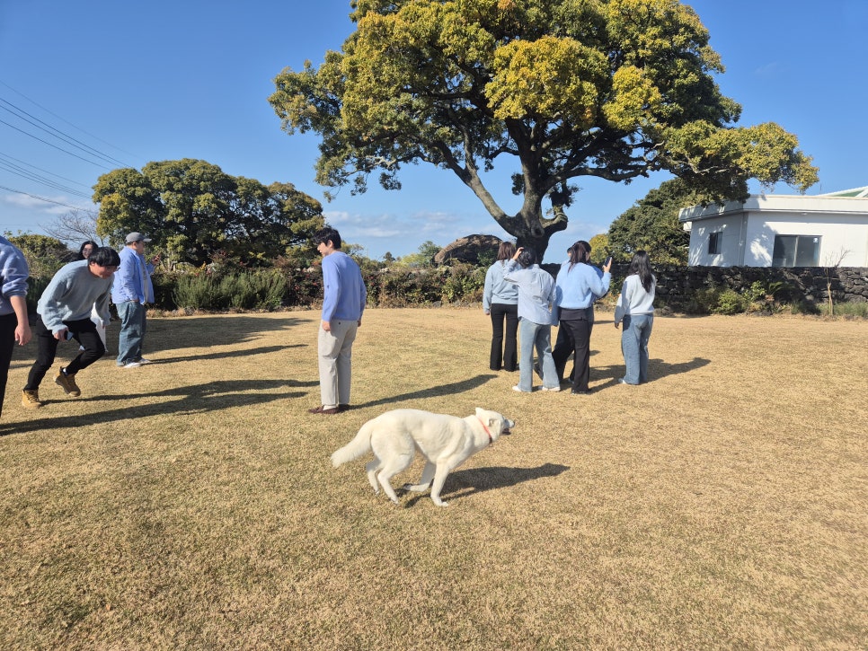 카이트엔지니어링 이미지