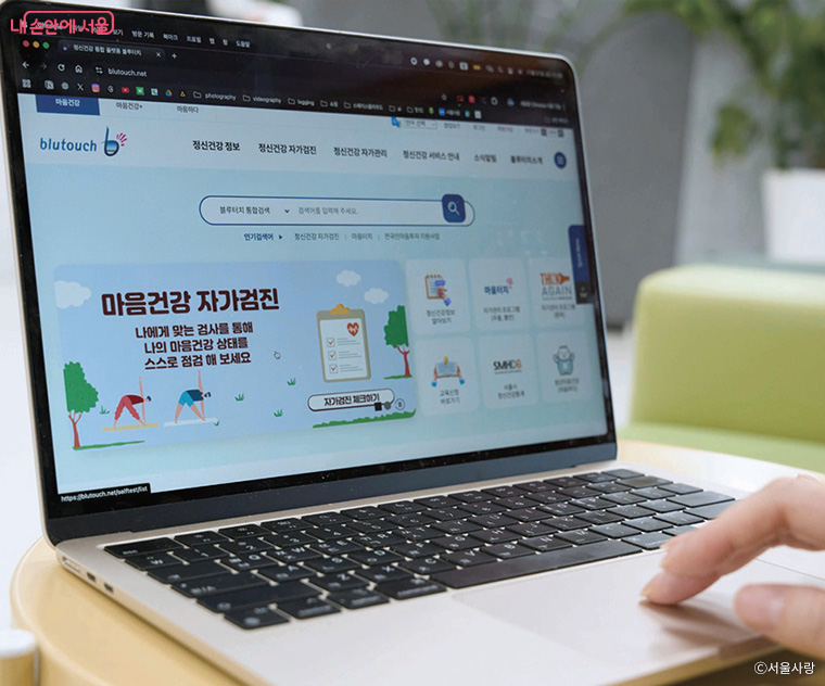 브로콜리 지역정보 관련 사진 3