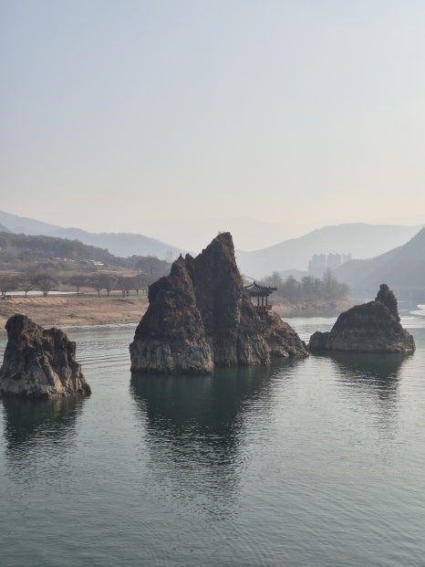 단양 댕댕이애견펜션 이미지