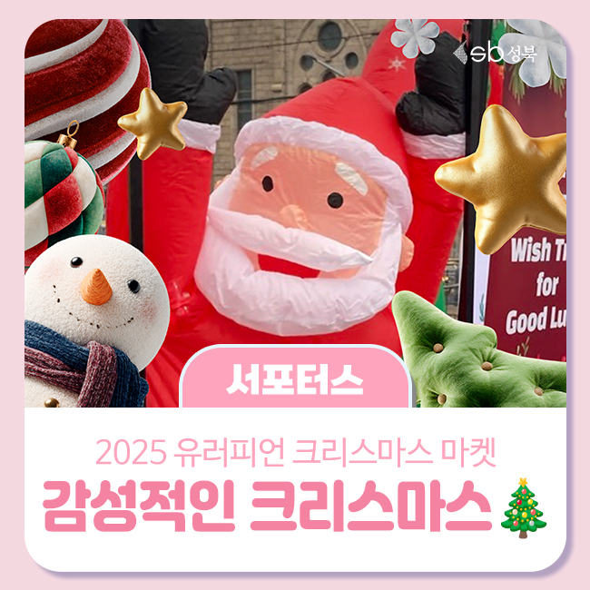 브로콜리 지역정보 관련 사진 1