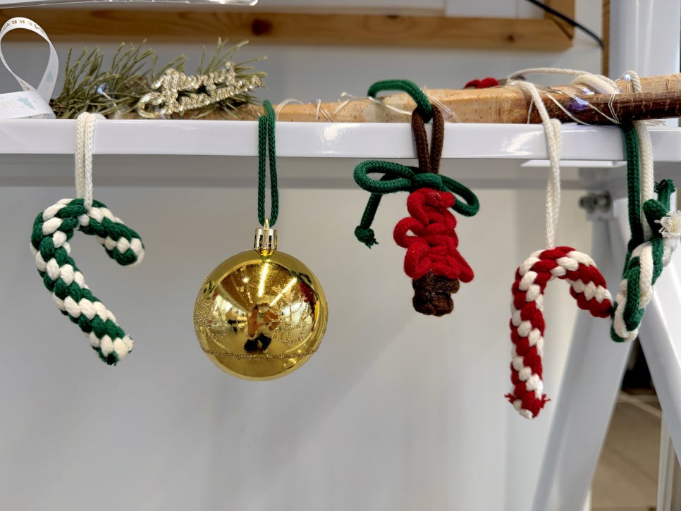 브로콜리 지역정보 관련 사진 12