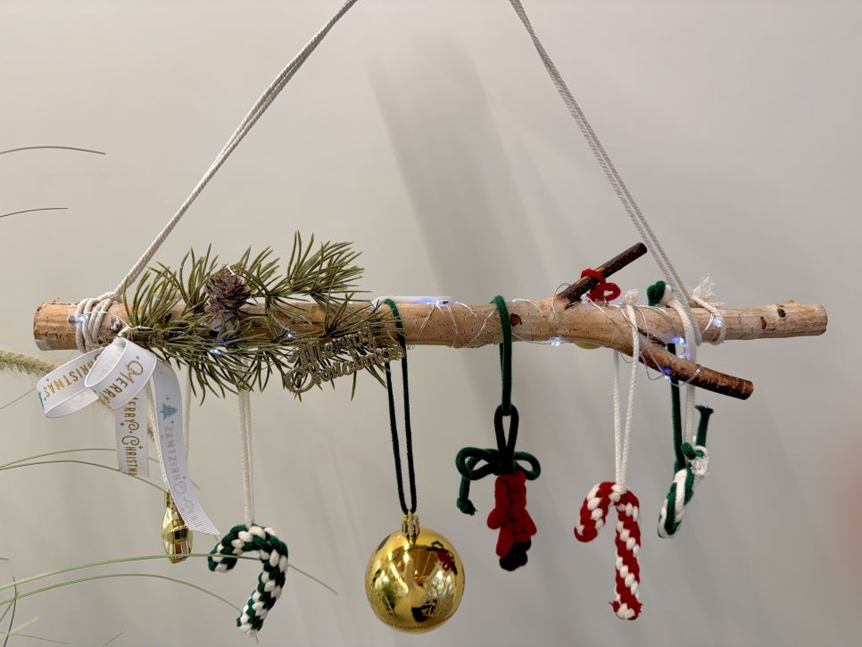 브로콜리 지역정보 관련 사진 6