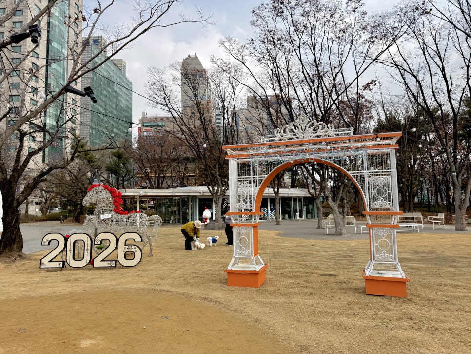 브로콜리 지역정보 관련 사진 4