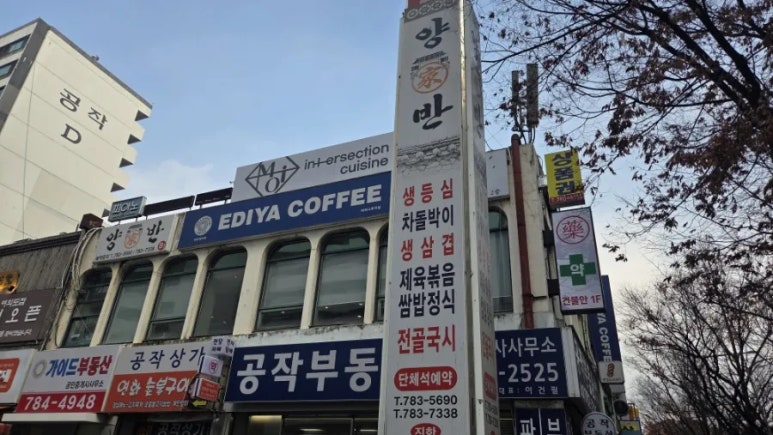 양반 대표 사진